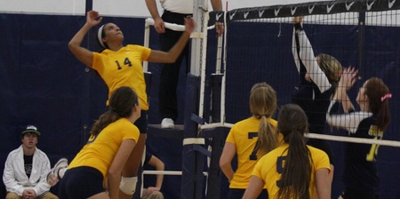 Women's Volleyball Sweeps Through Day One of AQ/CU Classic