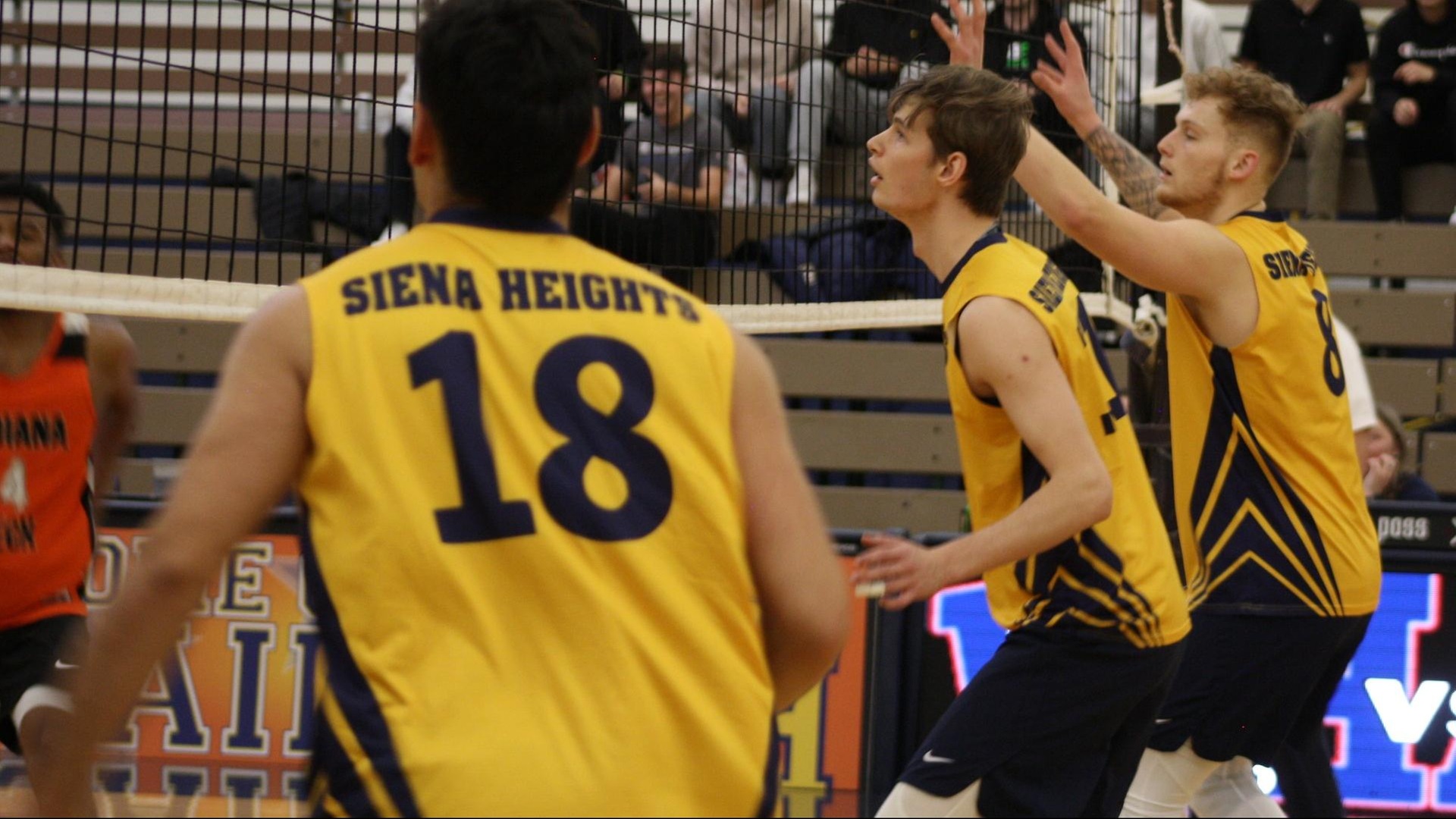 Men's Volleyball Eliminated From WHACs By Indiana Tech